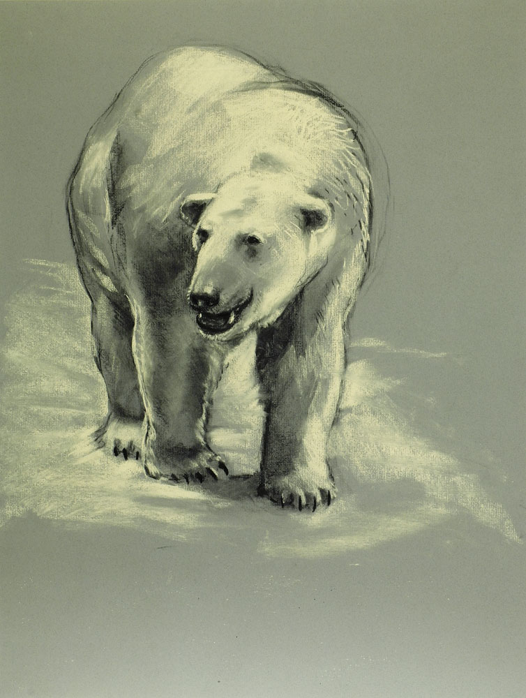 amnh-polar-bear-25x19