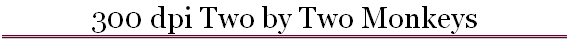 300 dpi Two by Two Monkeys