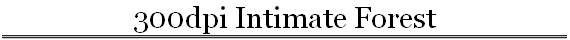 300dpi Intimate Forest