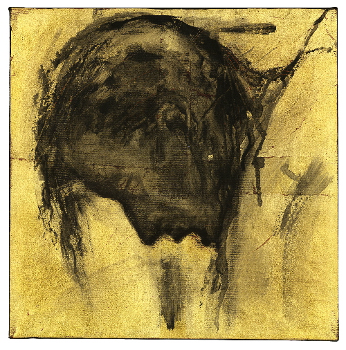 cropped-book-12-face