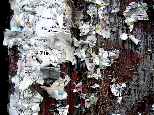 shred-the-word-sm