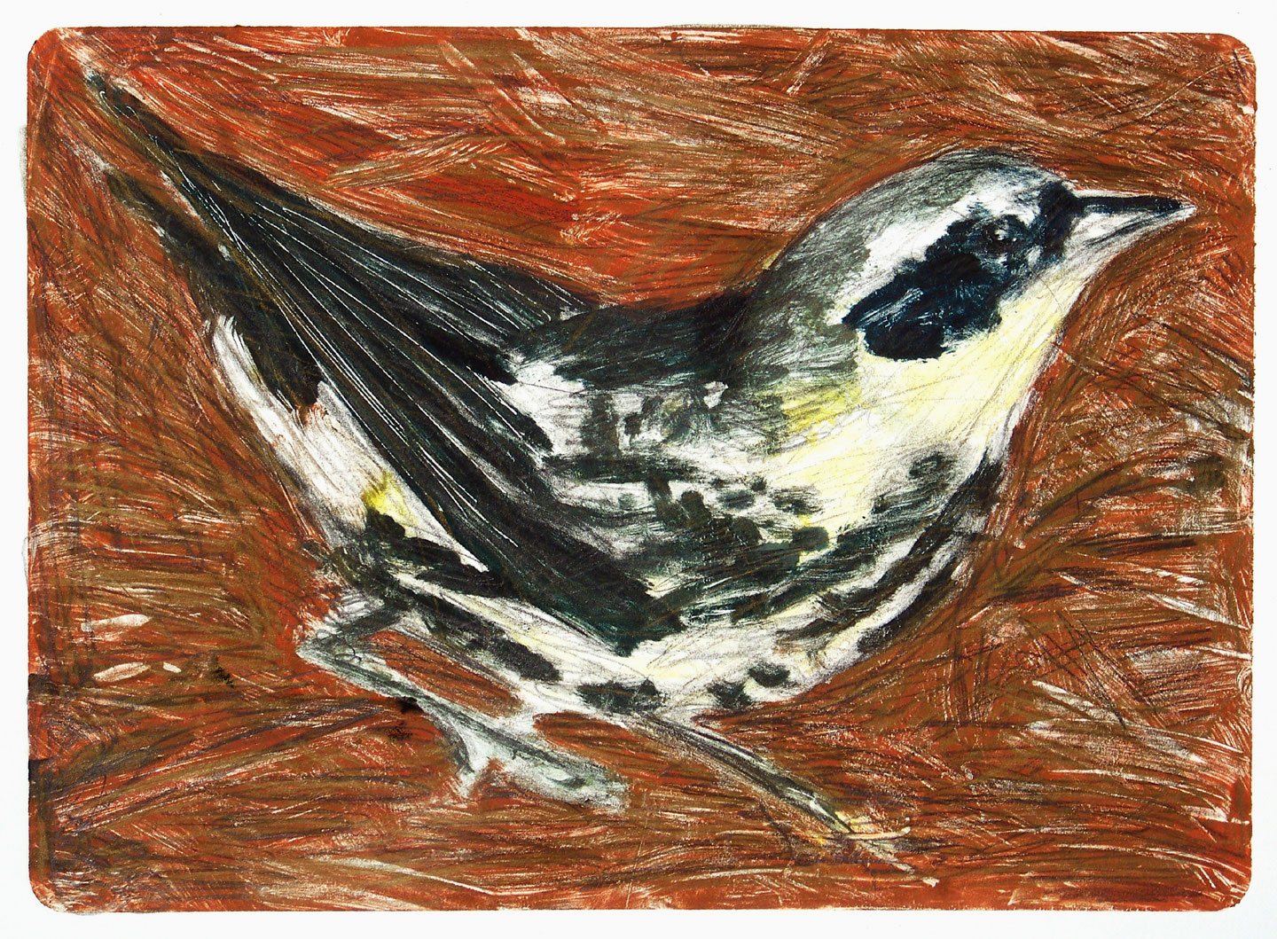 warbler-10x13-lg-web